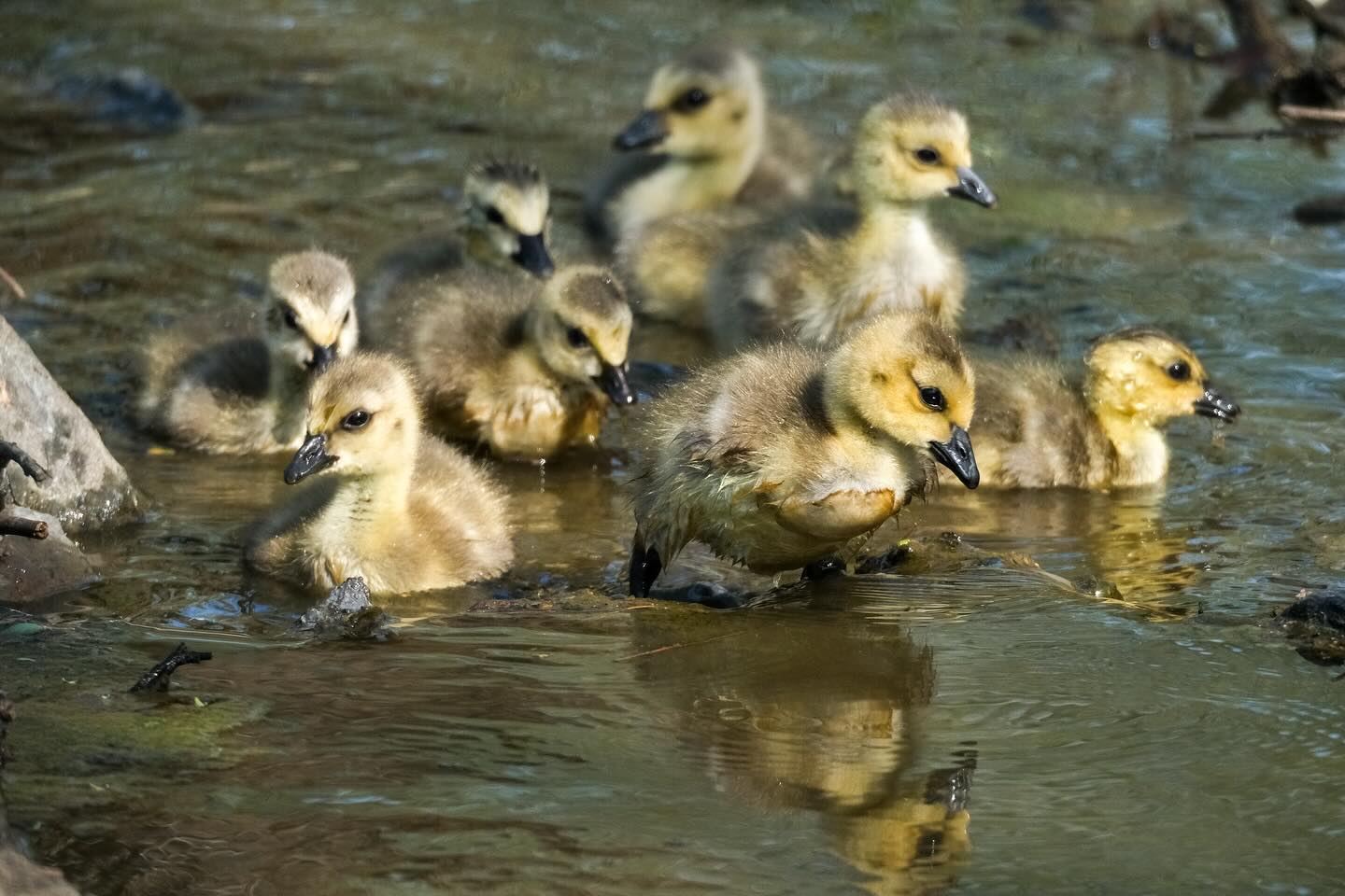 491439650_18290658940219705_4768592061194139522_n