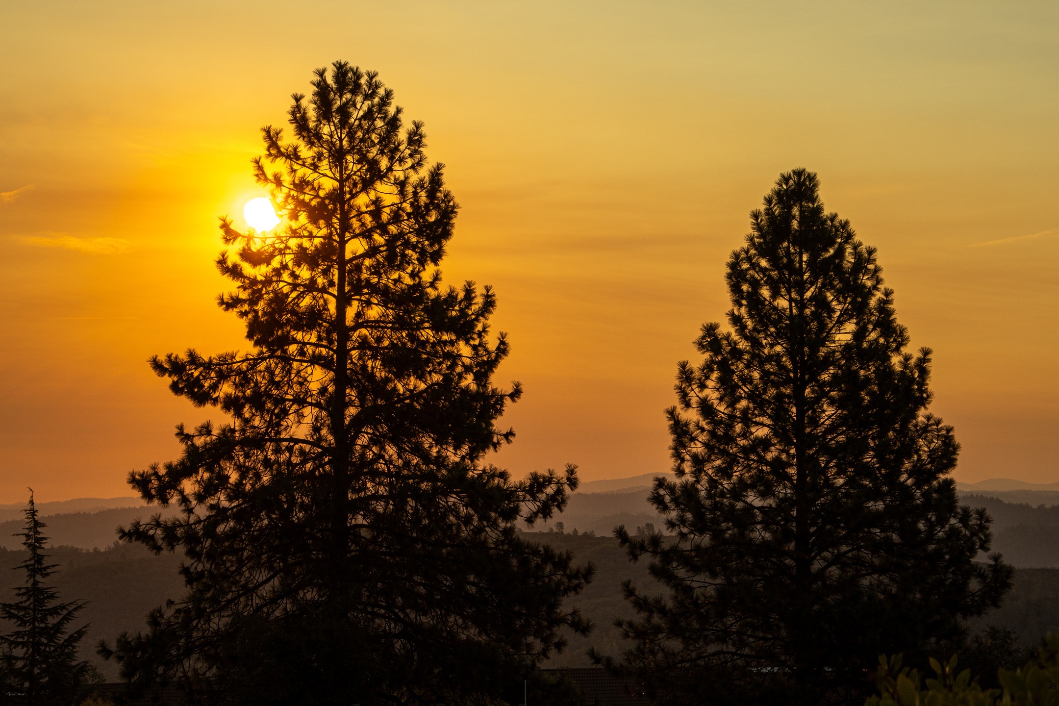 541553756_18305275549219705_4657287658519213553_n