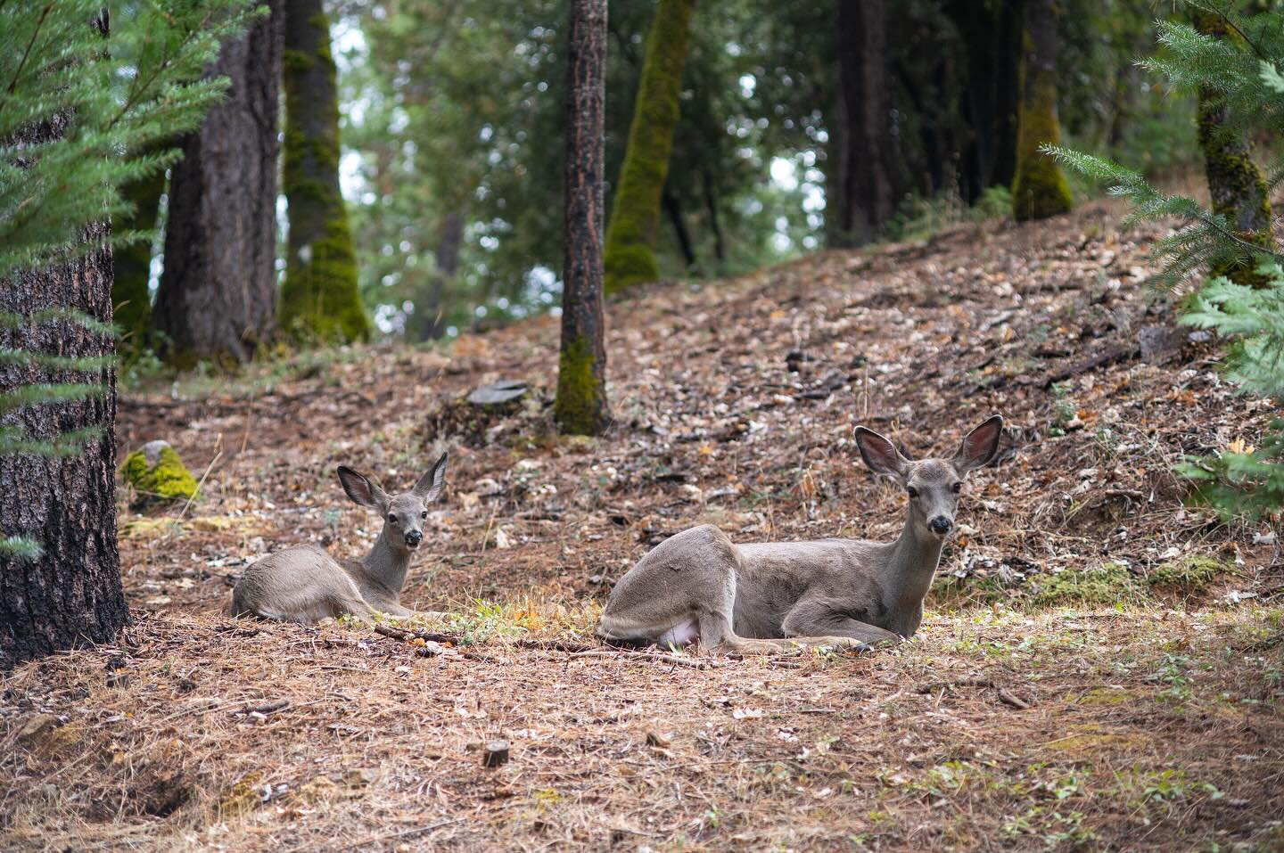 558647986_18308506915219705_4184346442728536652_n